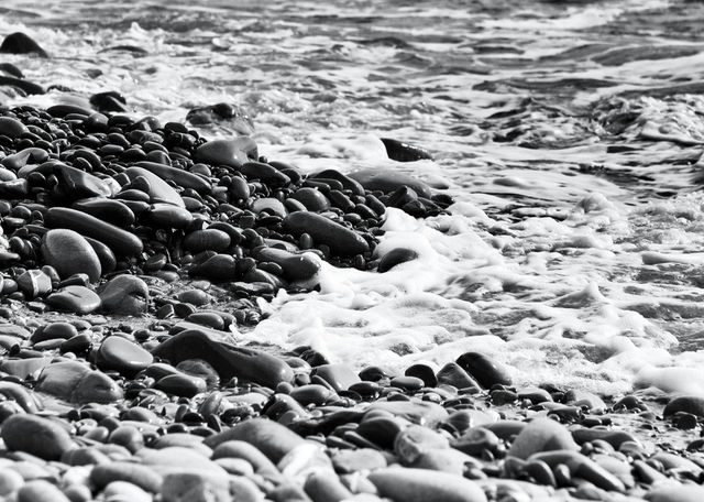 The Tide....