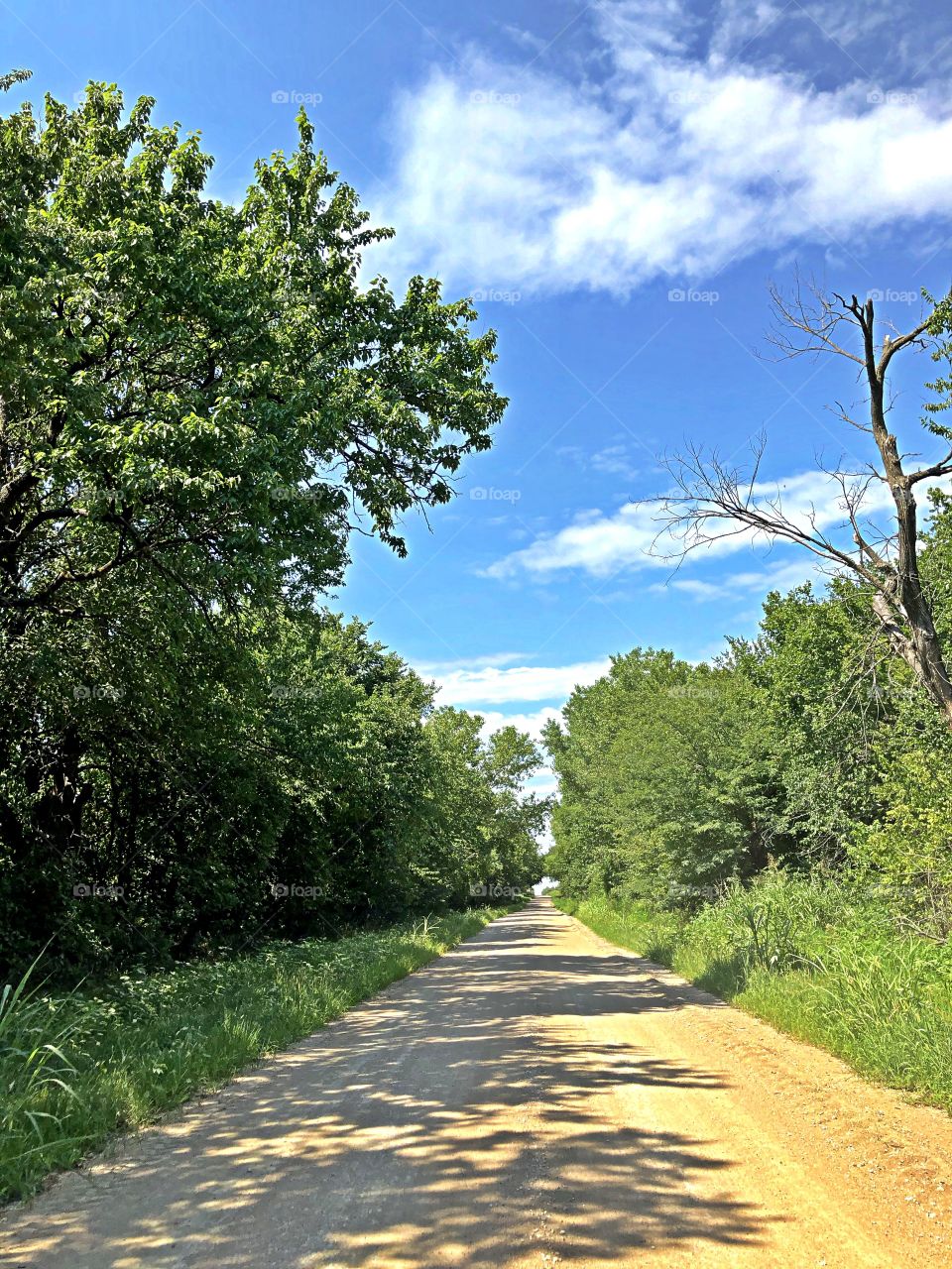 Dirt road