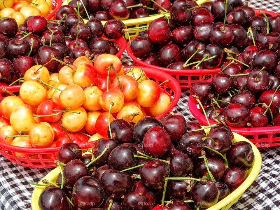 Fresh Ripe Cherries. Bunches Of Fresh Ripe Organic Summer Cherries
