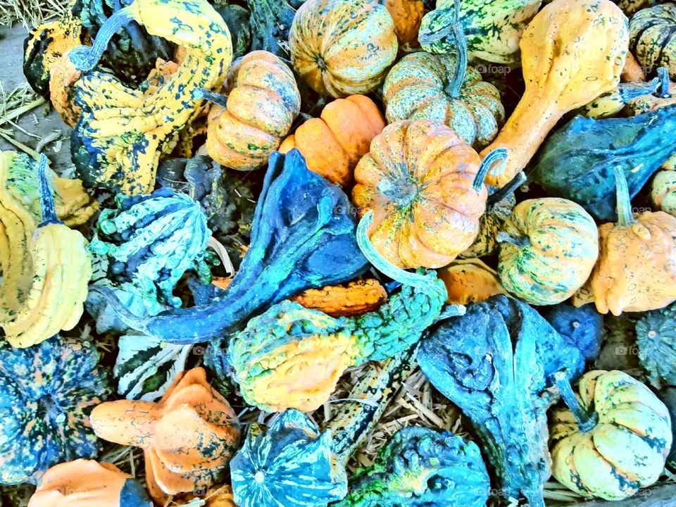 A Pile of Gourds Making Unintentional Art