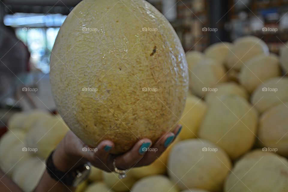 Fruits - Holding a large Cantaloupe melon - a round melon with firm, orange, and moderately sweet flesh 