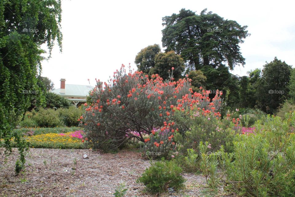 A day out at the botanical gardens