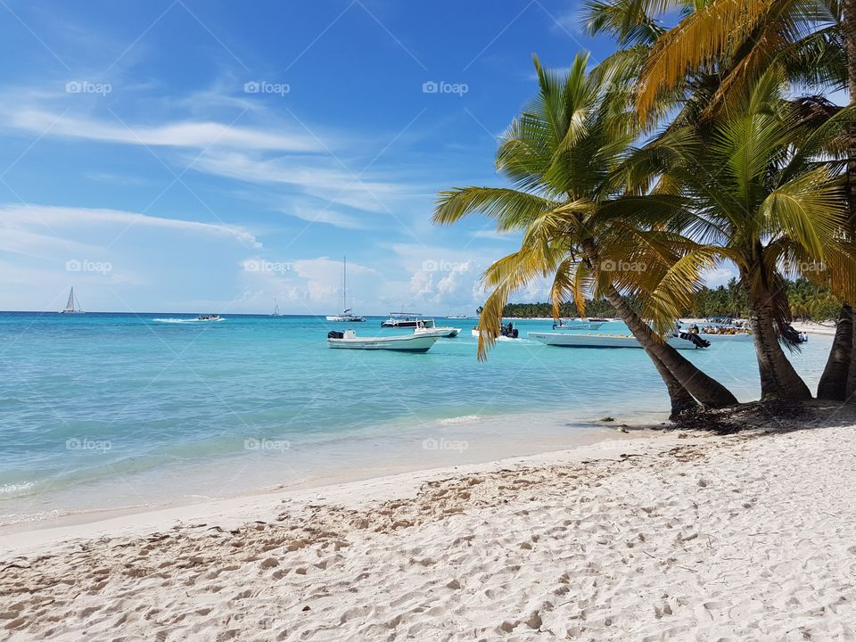 Summer moods of Caribbean Blue Ocean water with boats and white sand and tropical palm trees relaxing vacation in Dominican Republic