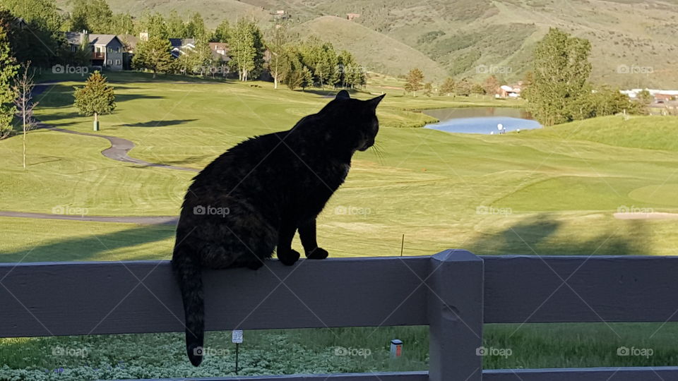 Enjoying the view and fresh air...