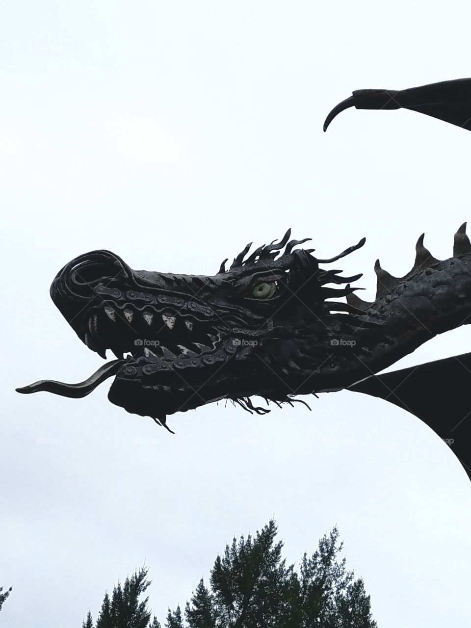 is that a dragon