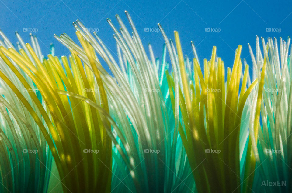 Closeup toothbrush