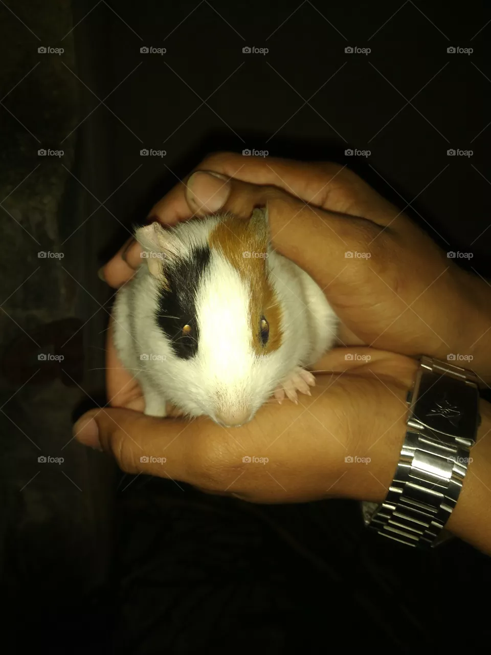 lindo