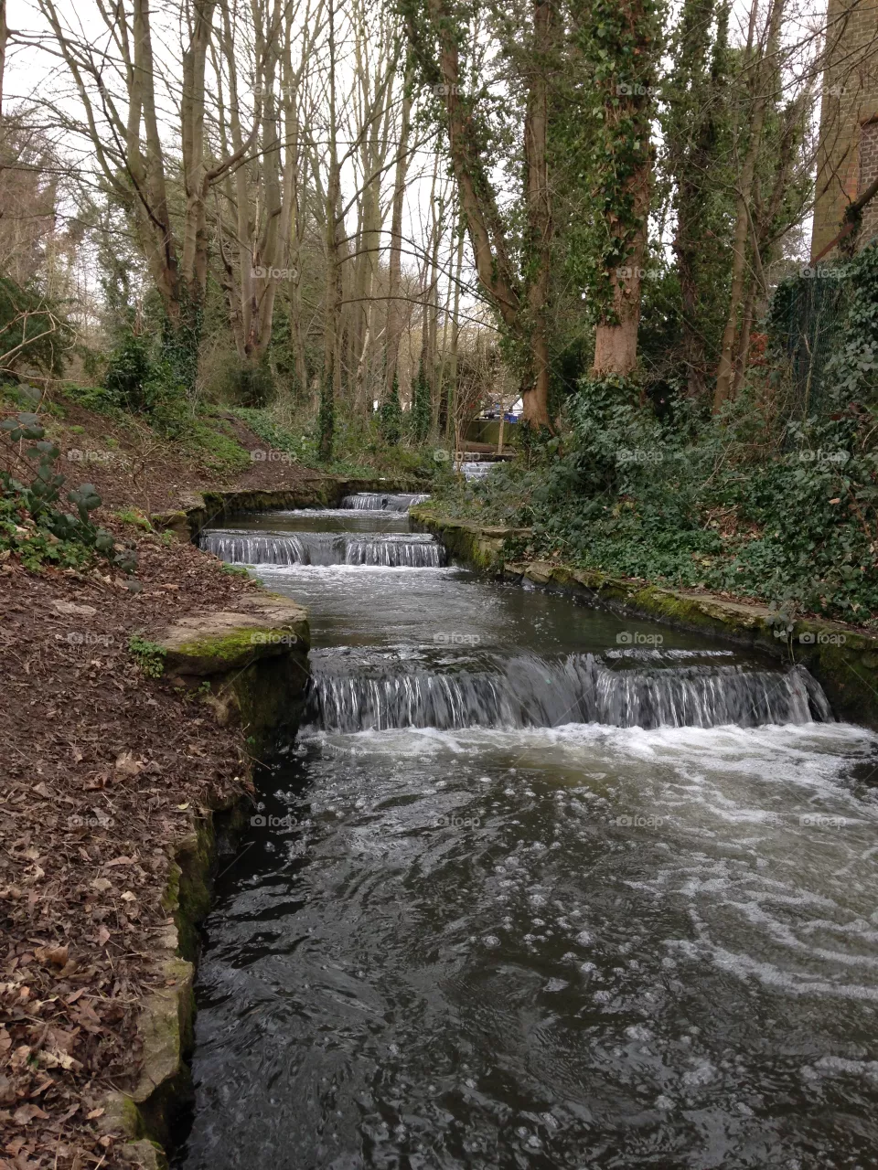 Stream