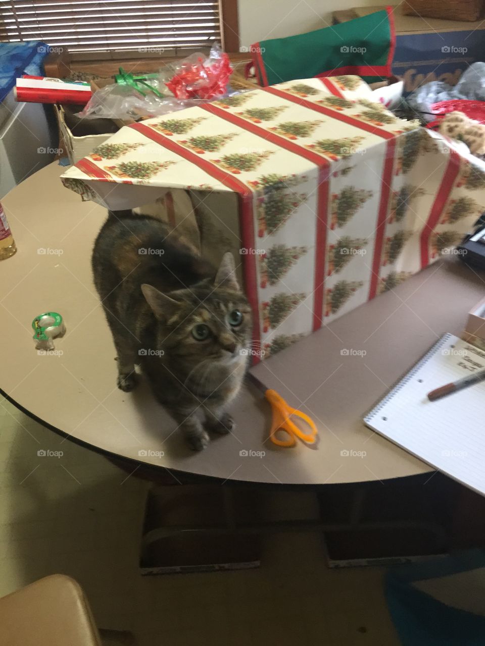 Wrapping presents