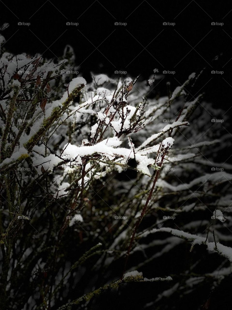Snow at Christmas in Germany