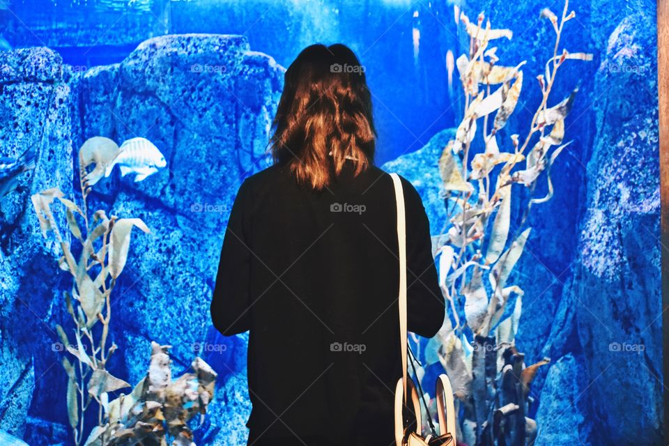 Aquarium 