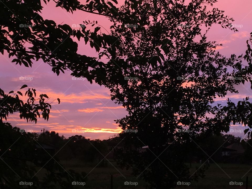 Beautiful pink and lavender sky in Texas. 