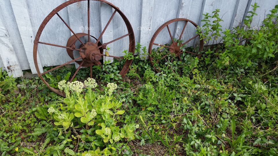 Old homestead. Off the beaten path