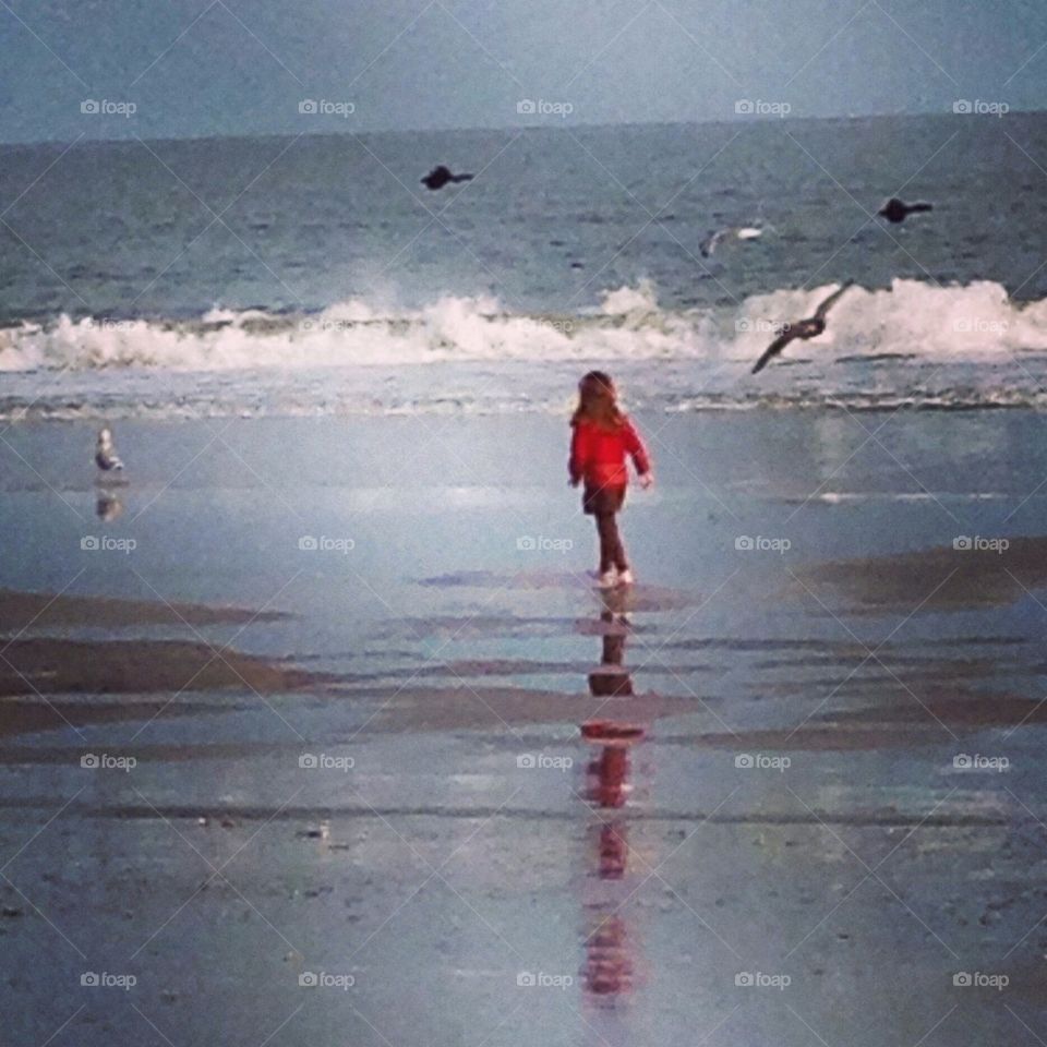 Chasing sea gulls 