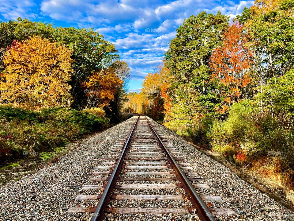 Autumn Tracks.  Fall colors put on a display along a set of railroad tracks.