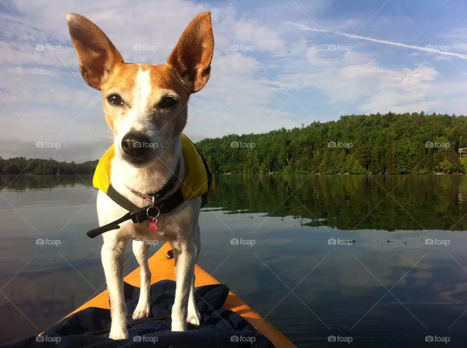 Kayakin