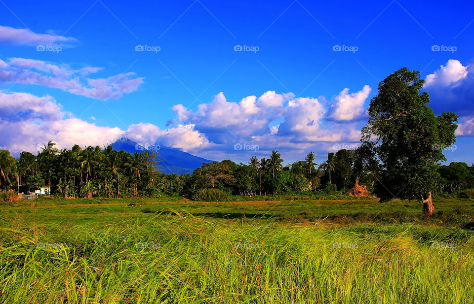 countryside