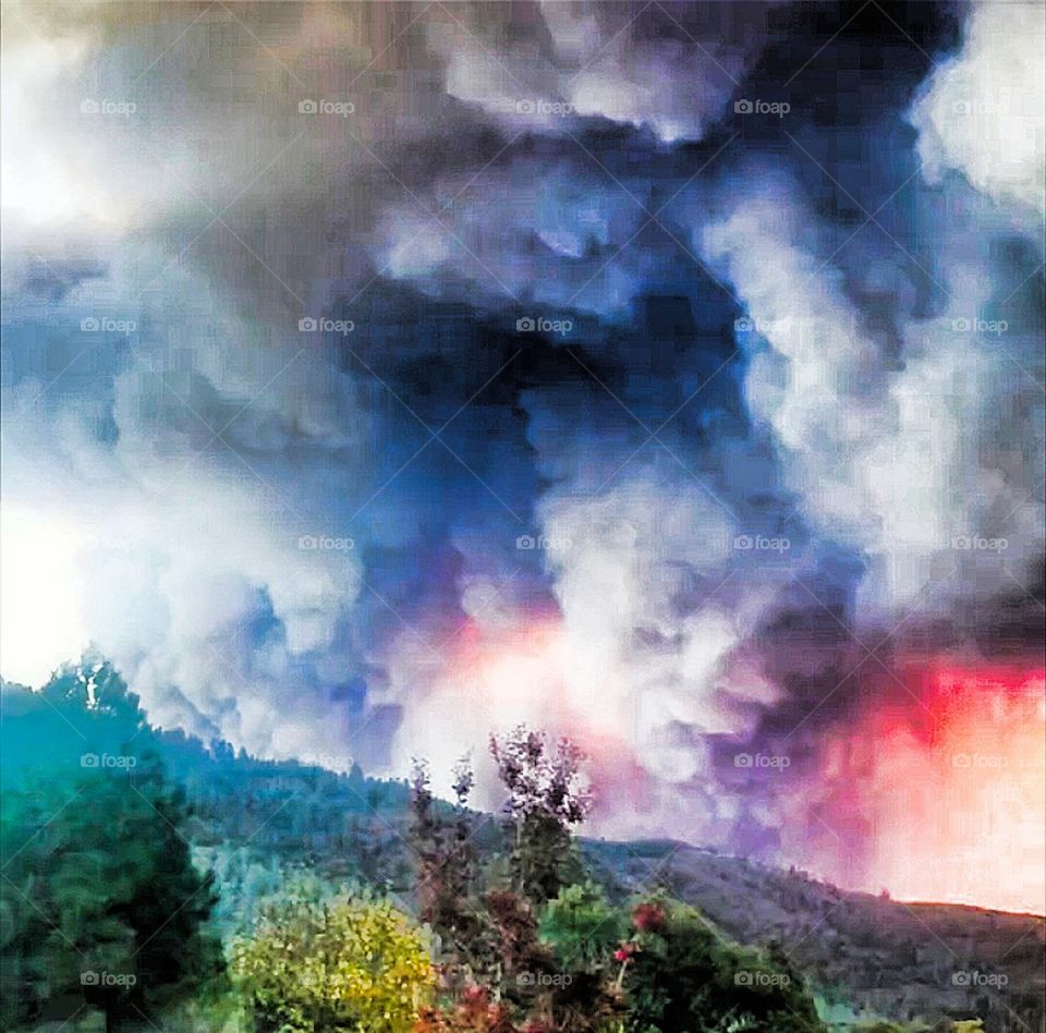 camp fire in California