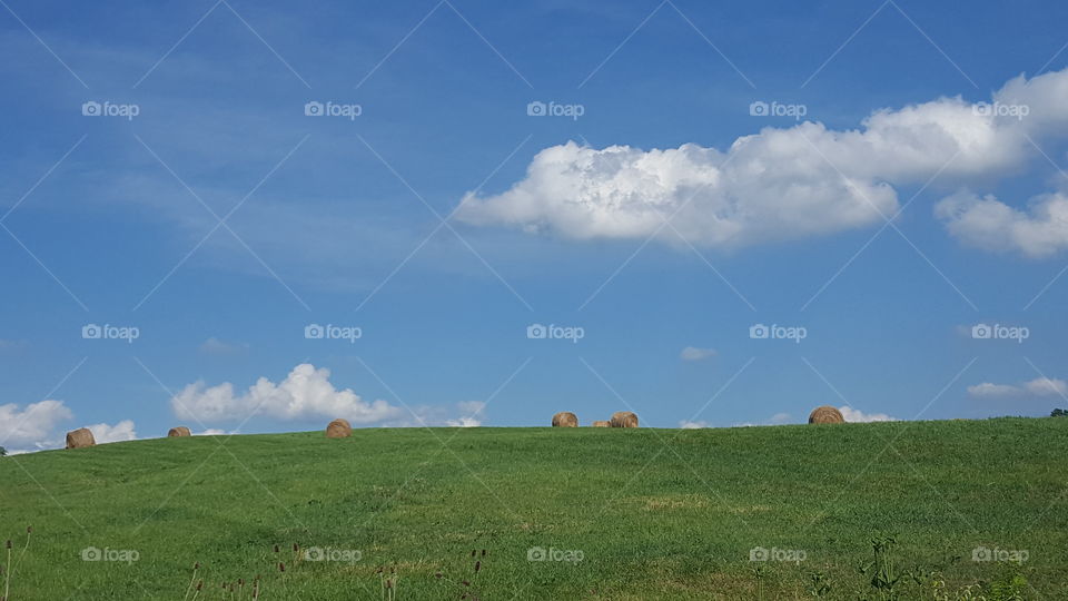 farmland