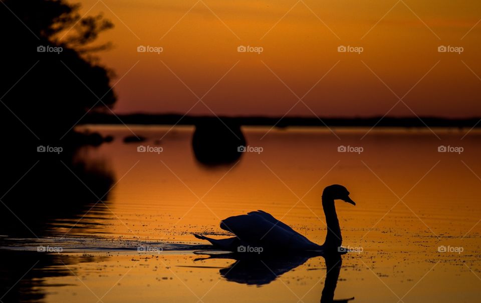 Sunset, Dawn, Water, Reflection, Lake