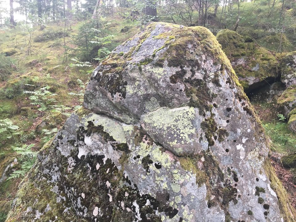 Interesting rock with mould and moss