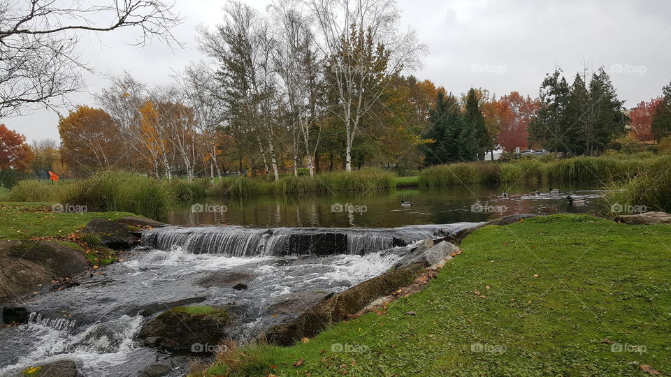 Water fall