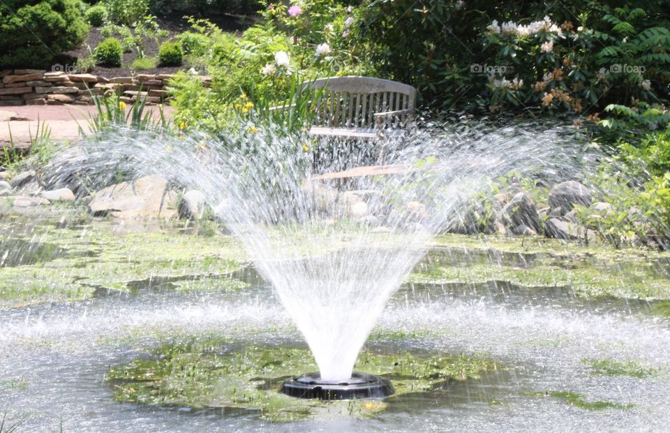 An enjoyable day in the park with a fountain in the middle of the river. 