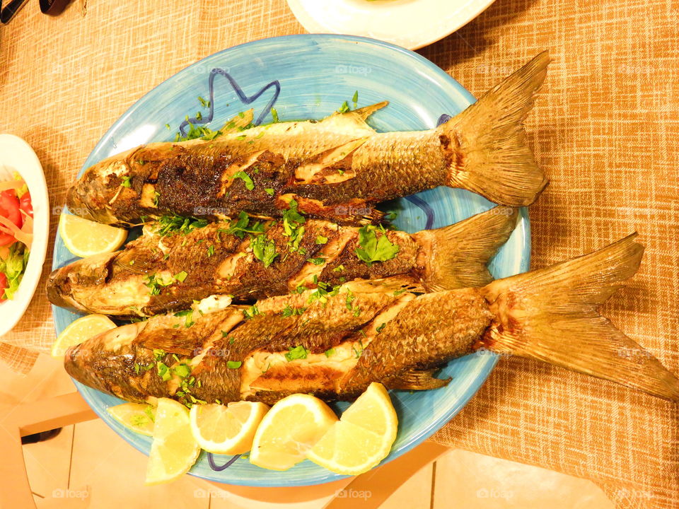 Grilled fish on plate