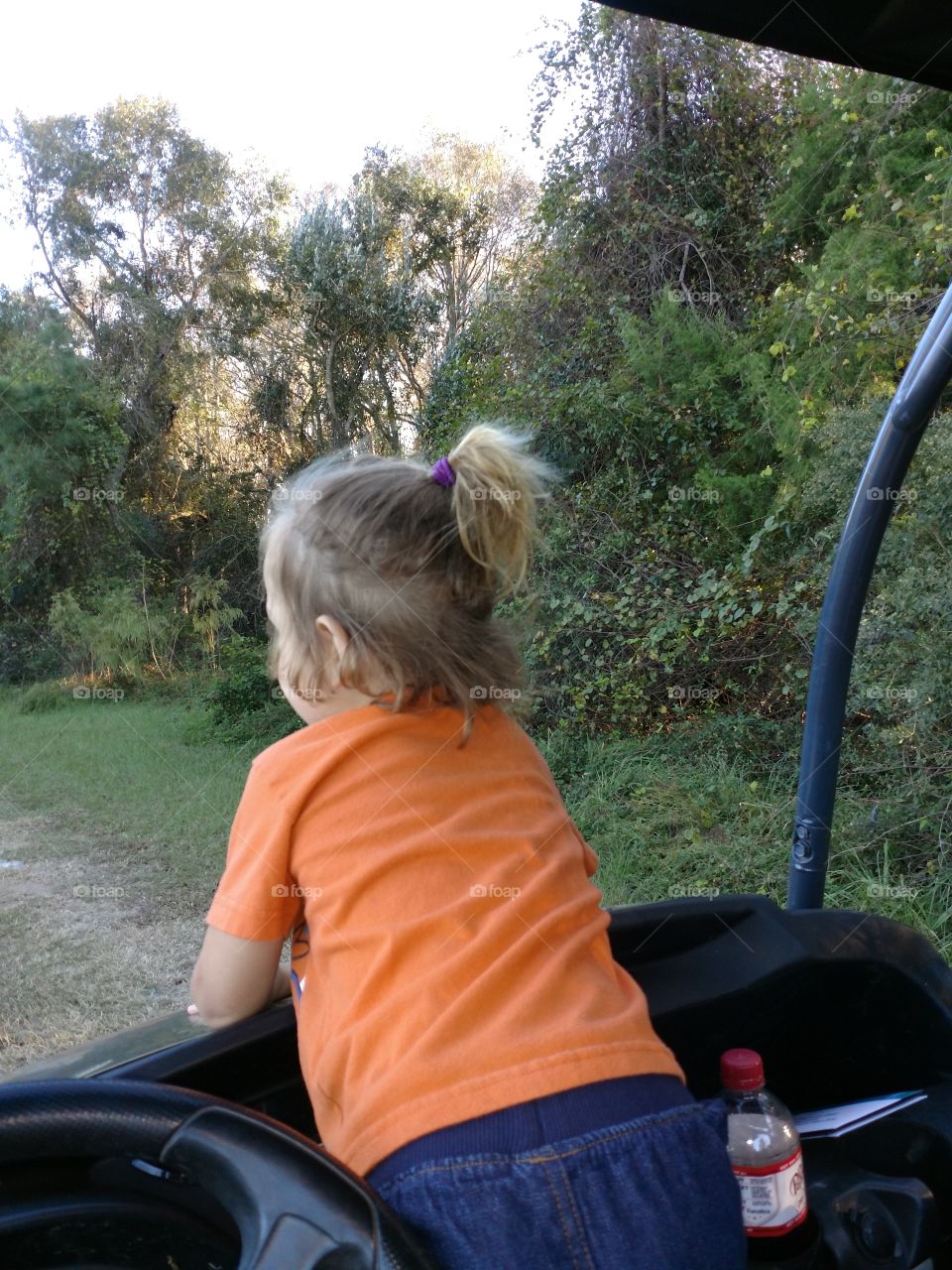 buggy ride, outdoors, trees, dirt road, gran