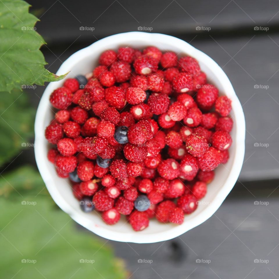 Wild strawberries in a bowl