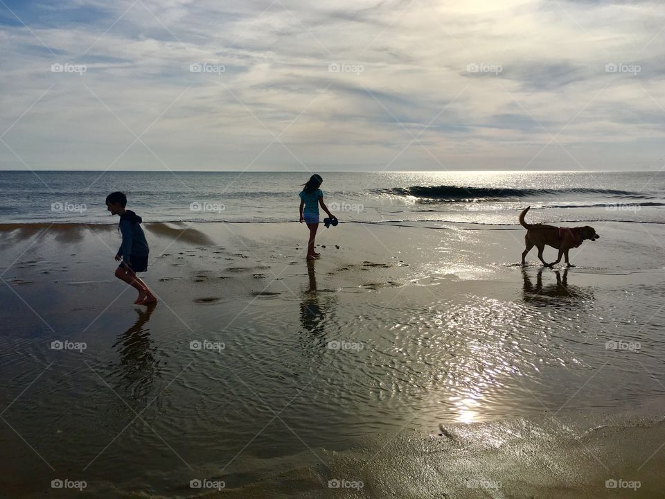 Kids and dog sunrise at the beach