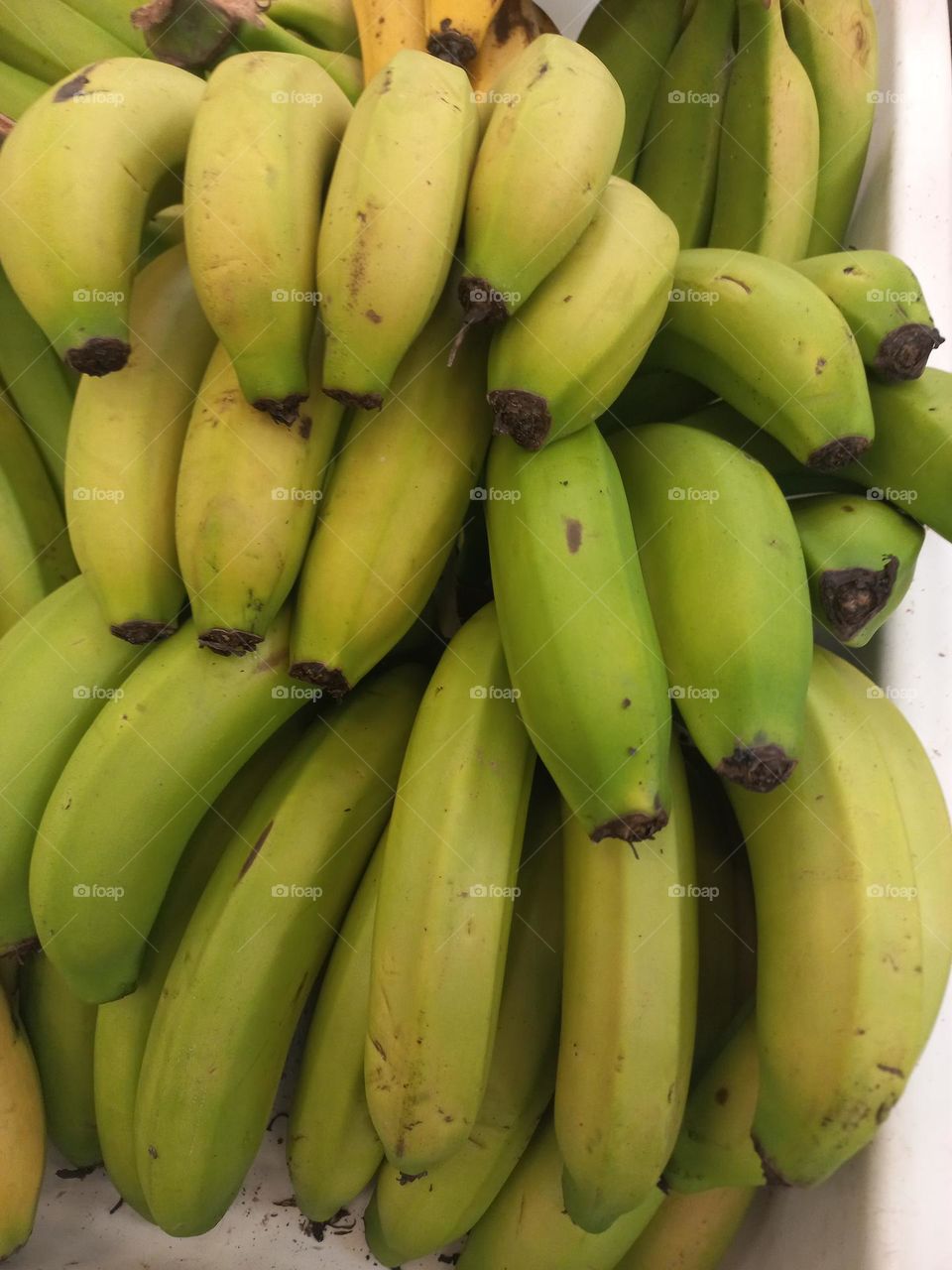 A banana verde é rica em girassol insolúveis, o que ajuda a regular o trânsito intestinal e, a prevenir a prisão de ventre. Quando consumida cozida, atua como prebiótico, ajudando a equilibrar a flora intestinal e a prevenir diarreia