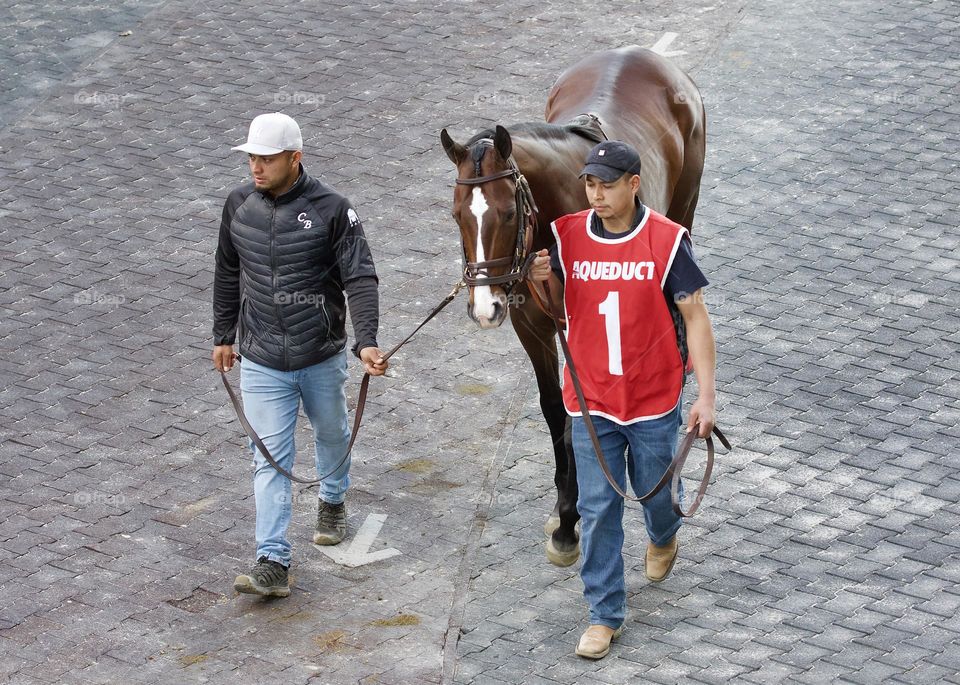 Aqueduct  Paddock by Fleetphoto.net