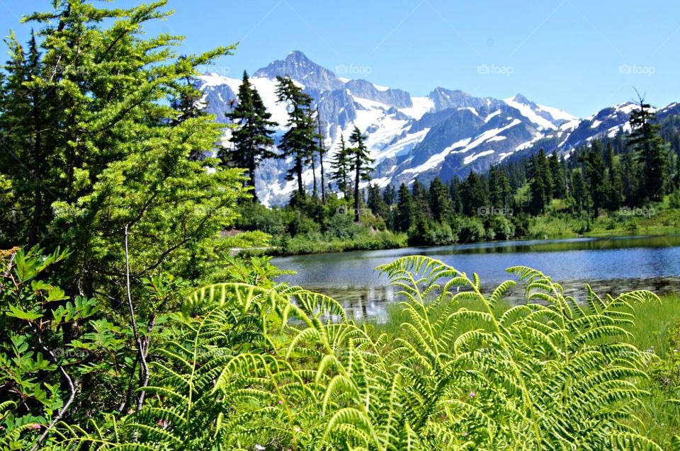 Scenic view of lake