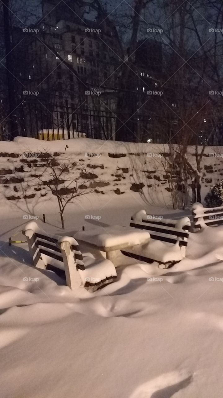 NYC Snow Drift in Park after 25 inches