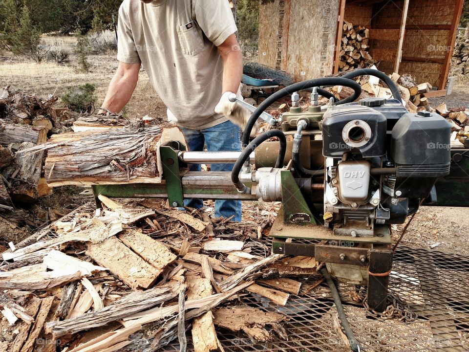 Firewood Splitter. Man cutting logs for firewood.