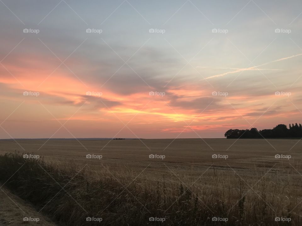 Sonnenuntergang am Feld 