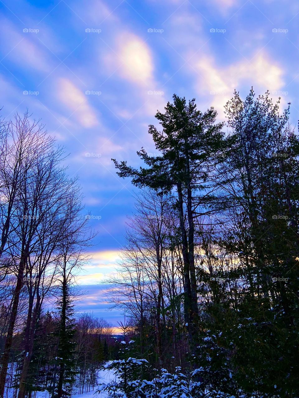 A scenic sunset in the woods of Maine during winter.