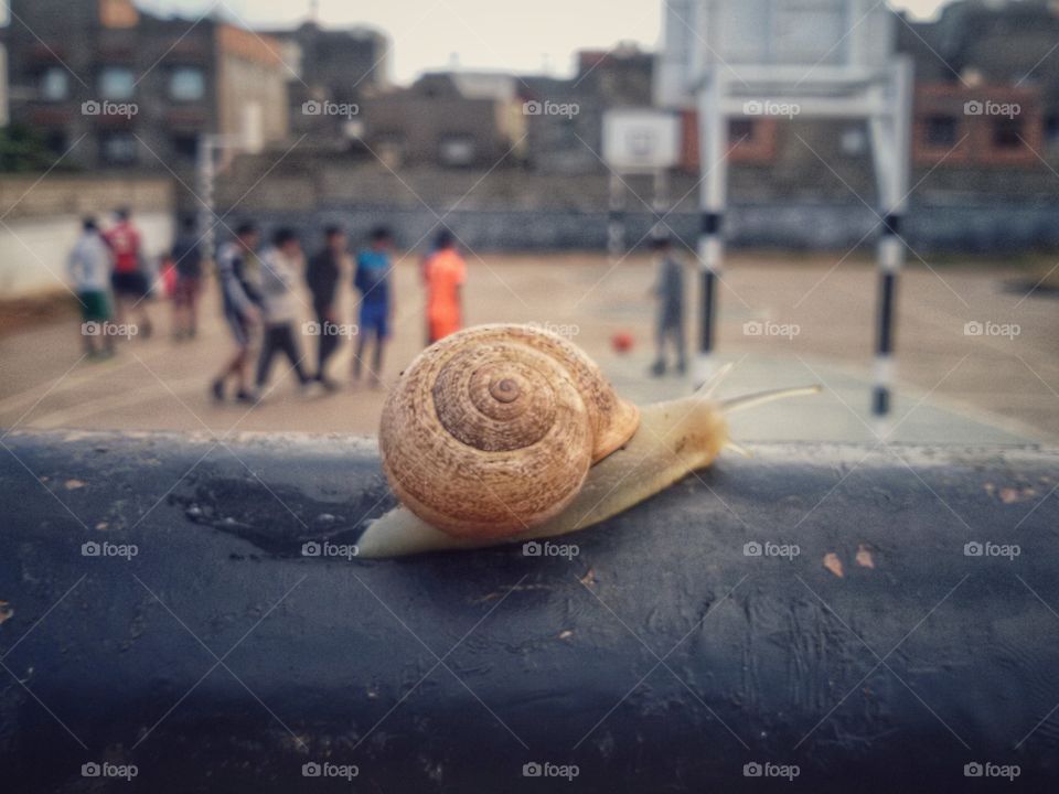 Snail time
