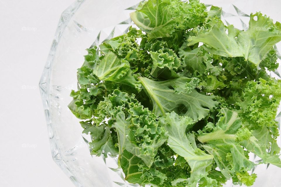Green fresh romaine on bright white background