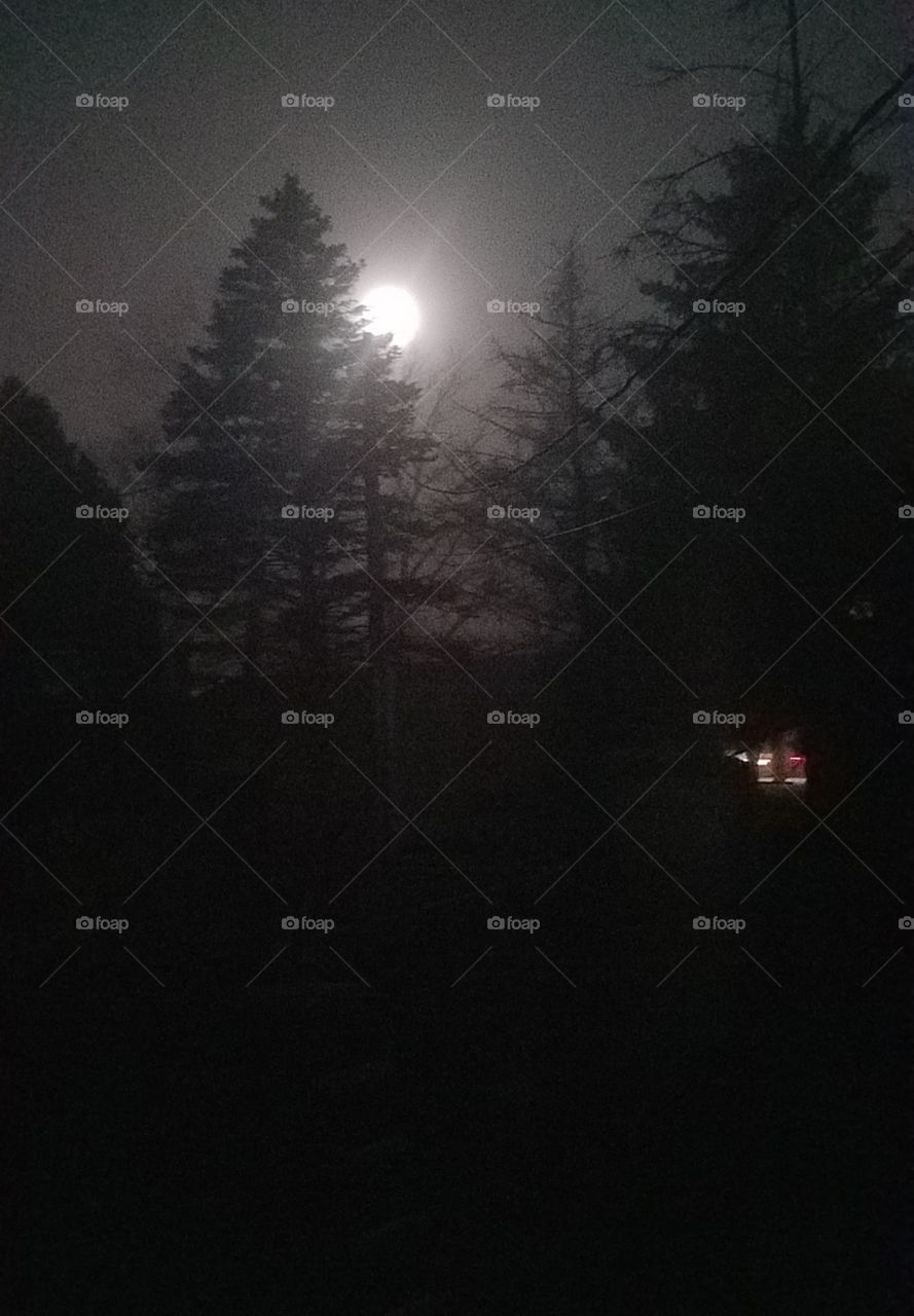 Foggy moon