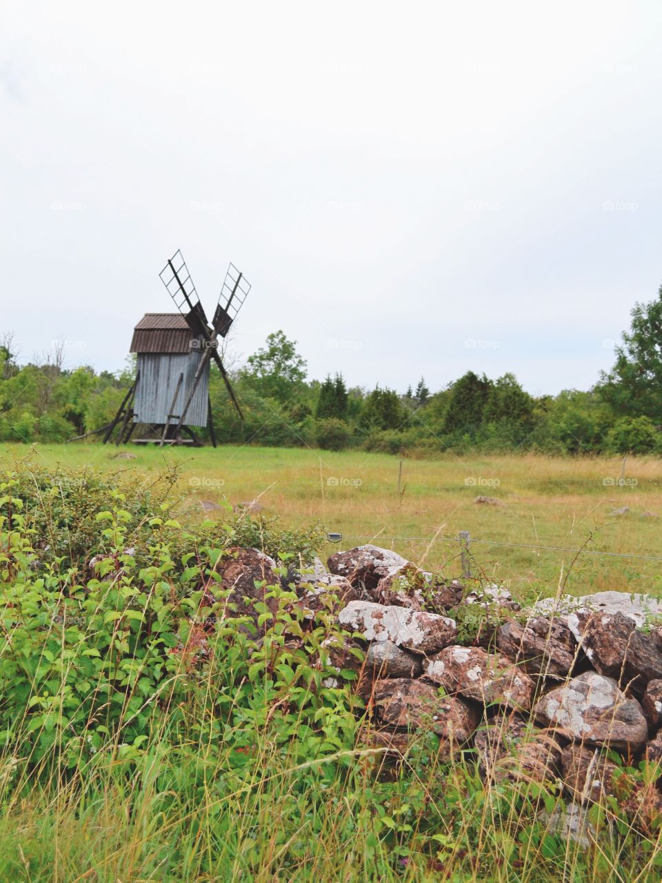 Landscape, Agriculture, Farm, Environment, Nature