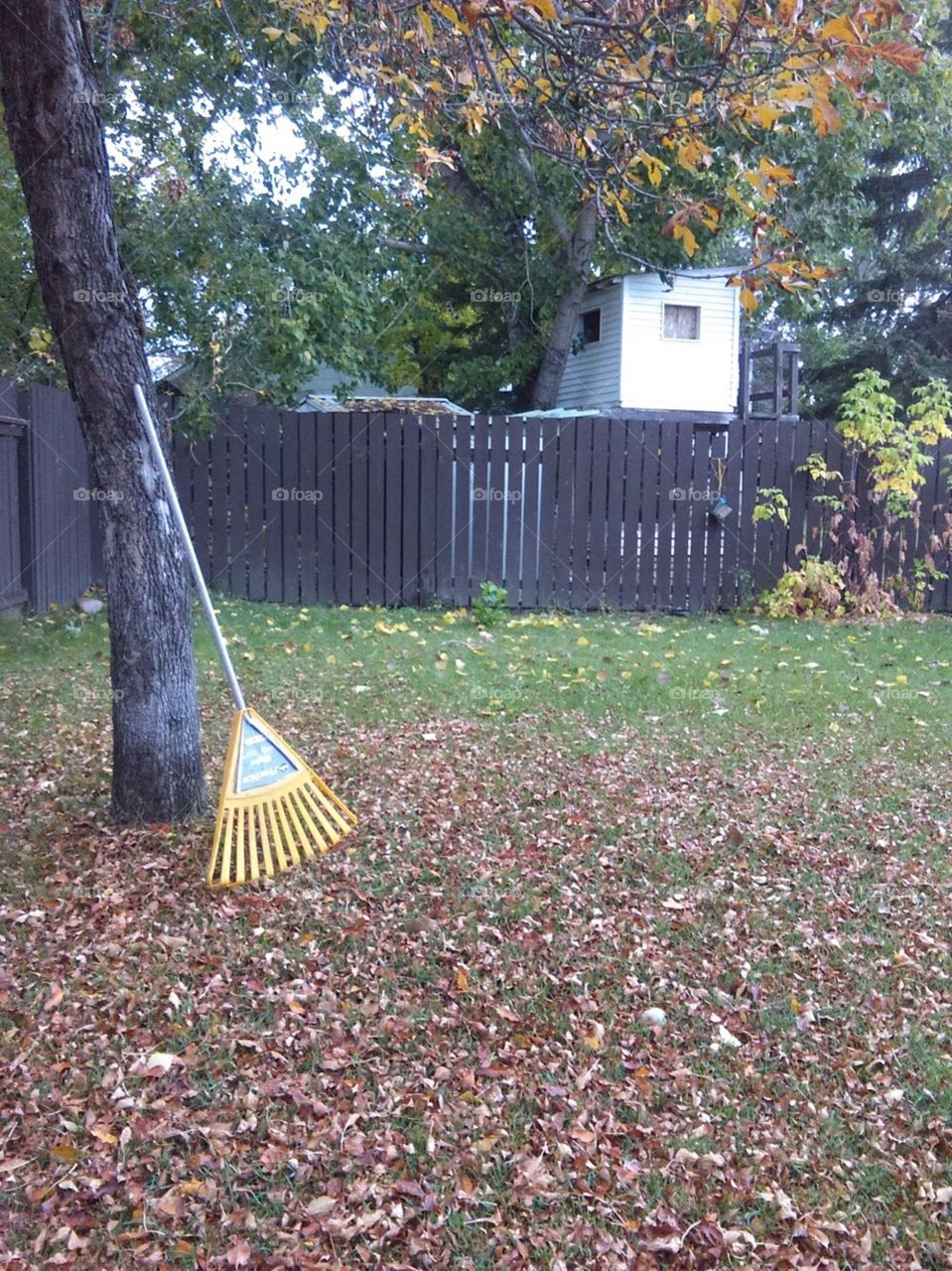 Picking up leaves