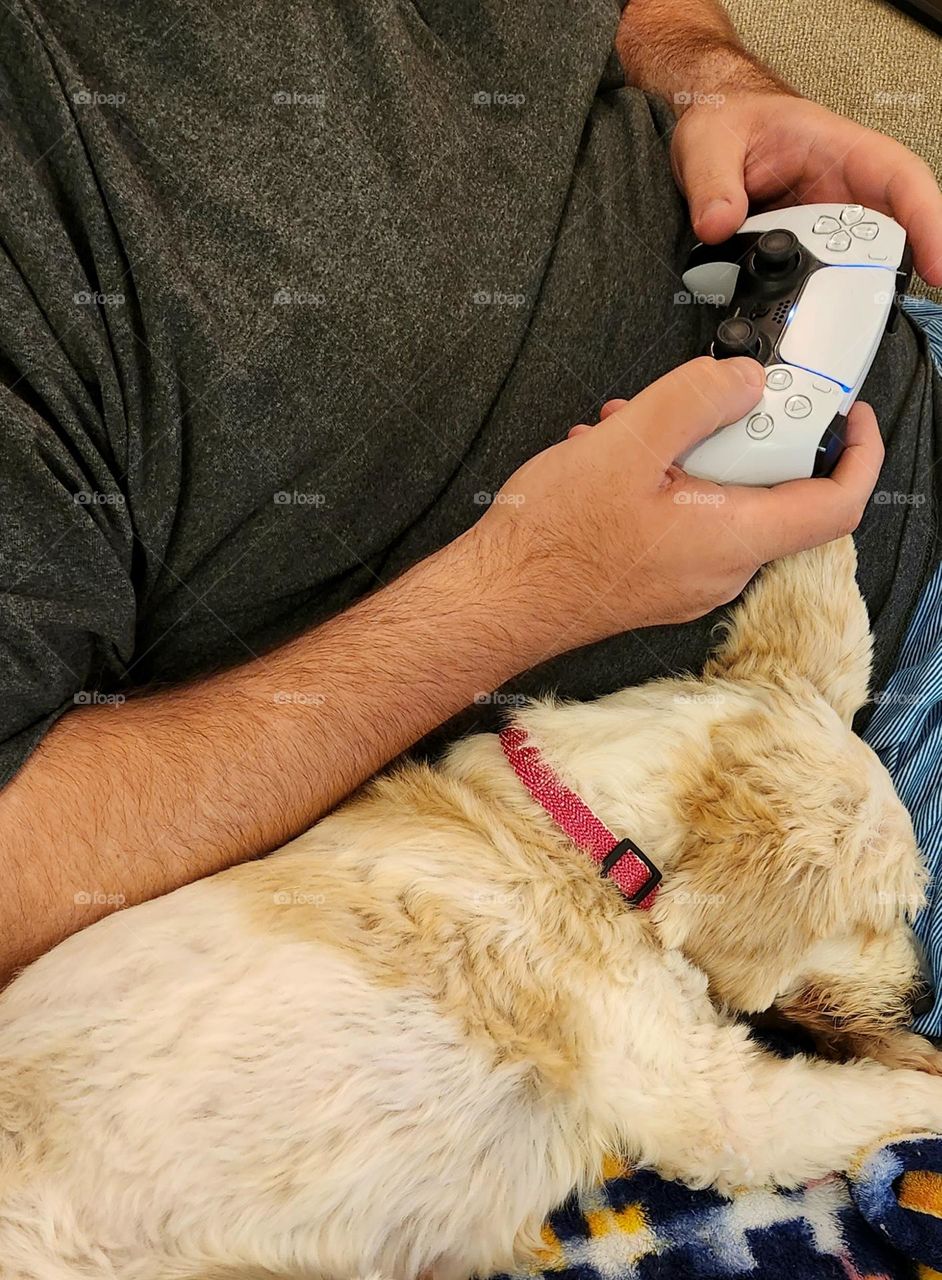 man playing using a controller to play a video game next to his sleeping canine companion at home