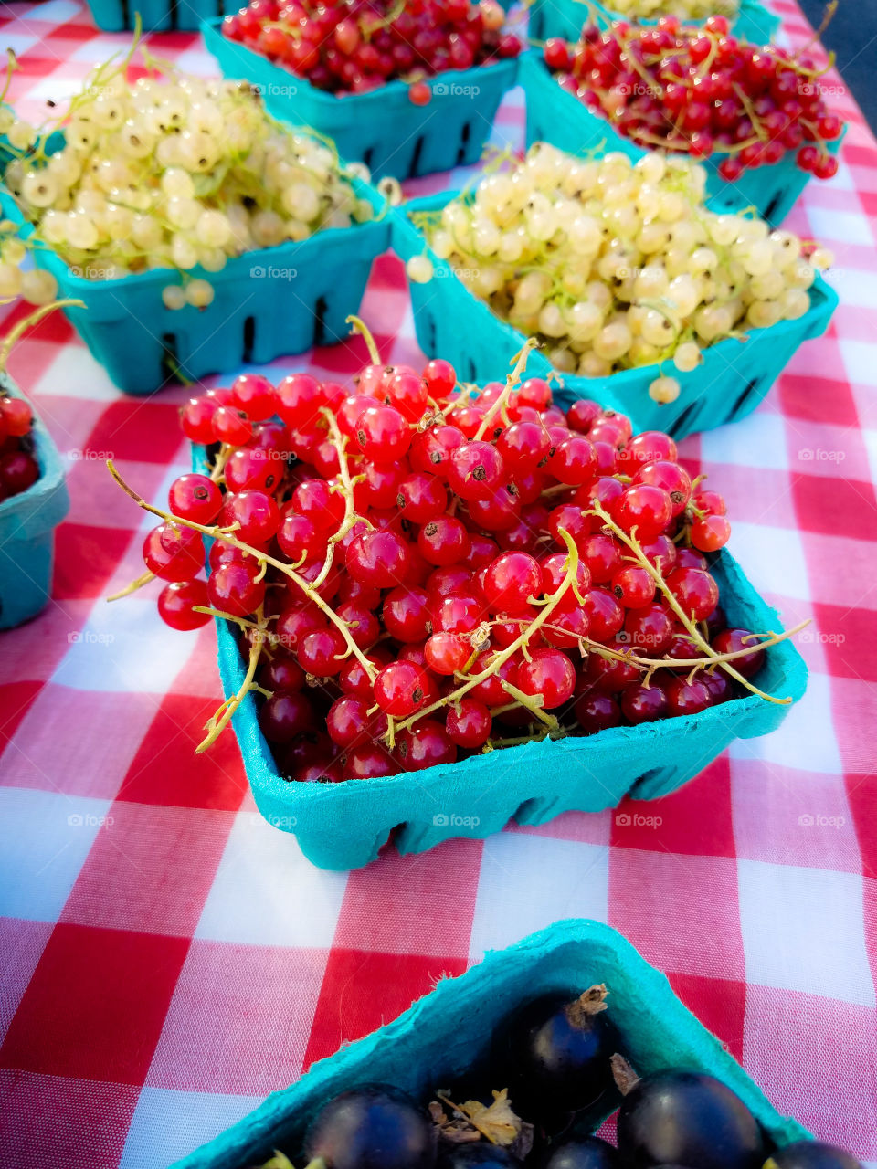 picnic table berries