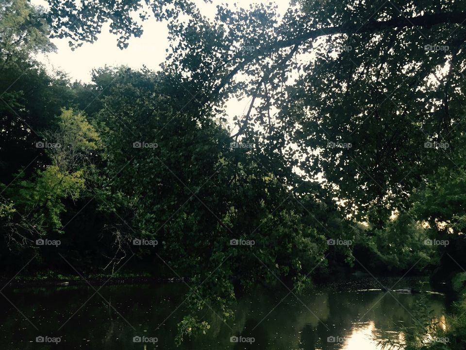 River at dusk...