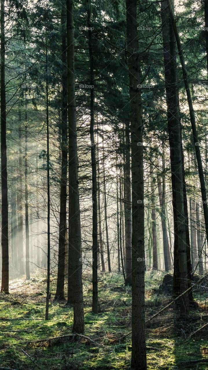 Naturel beauty place