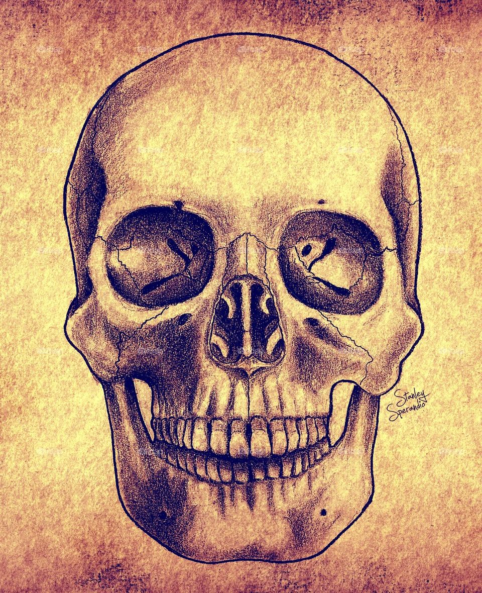 front skull drawing 