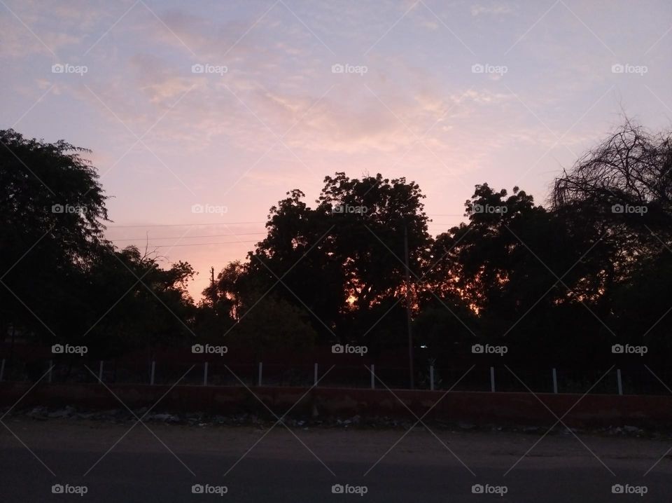 the sun set secene scattered clouds dark green trees looks very beautiful radish clouds