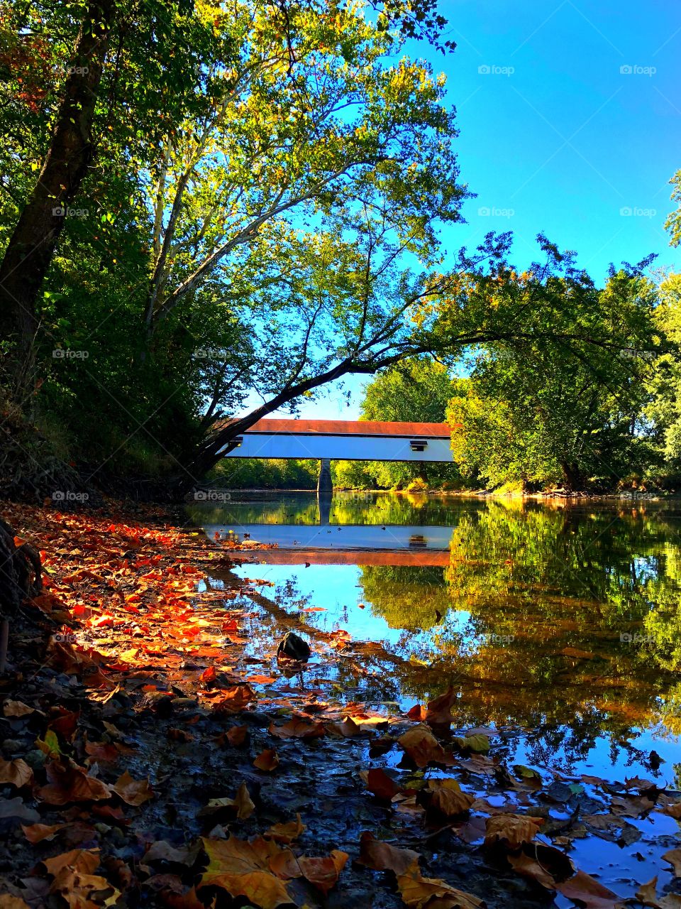 Covered bridge view 